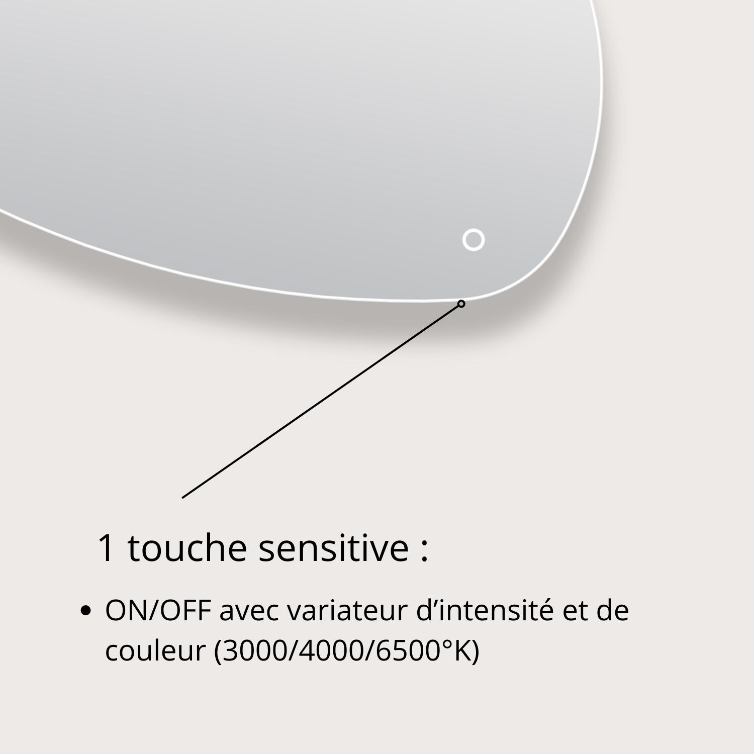 Miroir LED galet L80/120cm antibuée